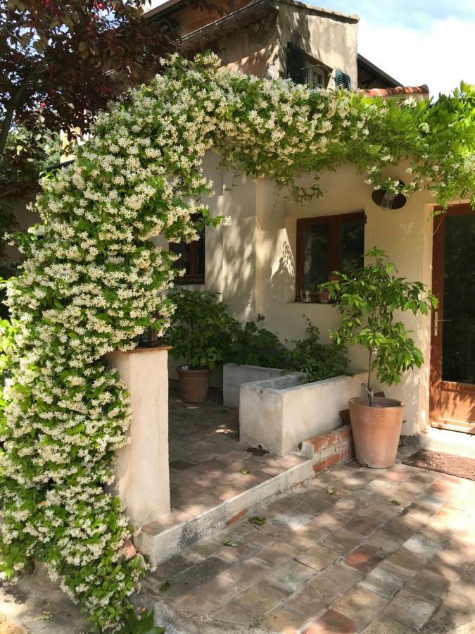 Exceptionnel, Maison De Vacances Dans Parc, Climatisation, Parking, Calme Assure Marseille Luaran gambar